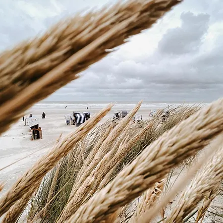 Nordstrandperle Ap E8 * Norderney